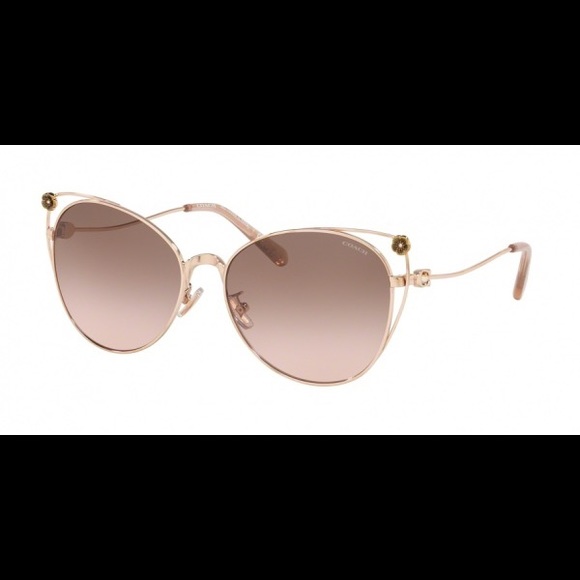 NWT Coach Sunglasses w/case MSRP $185 - Picture 2 of 3